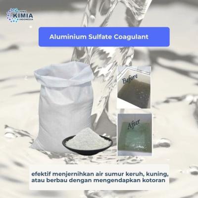 Aluminium Sulfate Coagulant Kota Medan 25KG